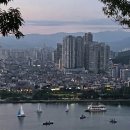 공존하다 / coexist 이미지
