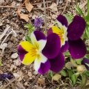 방곡농장 이미지