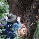 100년재생의원 이미지