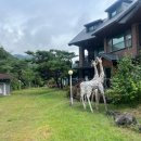 동가래별빛 - 1464 | 동가래별빛