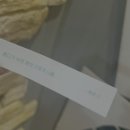 장범준 공연 [버스카버스카 in 용인 DAY2] 후기