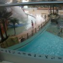 비발디파크오션월드 이미지