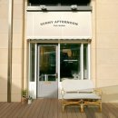 라온펫미용실 이미지