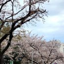 케이와이키친 이미지