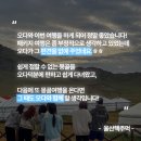 울산핵주먹 네이버블로그