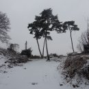 서울양재초등학교 이미지