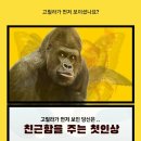 심리테스트 이미지