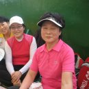 청주정구장(솔밭) 이미지