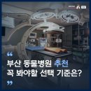 [공지] 부산 동물병원 유명한곳 추천, 다솜이 20년간 지켜온 진료의 기준