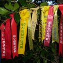 웰빙등산로 Daum카페