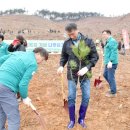 모전공원(분수광장) 이미지