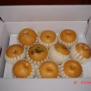 미애네집 이미지