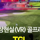 타이거존스크린골프