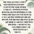 미쓰부산