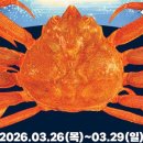 행정용 29 네이버블로그