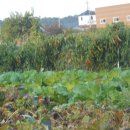 창뜰공인중개사사무소 이미지