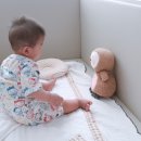 부와함께