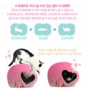 에누리대대클럽 | 캣인 스크래쳐 체험