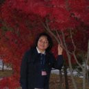 일성무주콘도미니엄 이미지