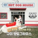 봉곡서로-1 | 대구근교 구미 애견카페 핫도그하우스 내돈내산 너무 좋았던 실내 야외잔디 대형 애견카페