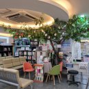 구로의원 이미지