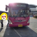 고대1113 이미지