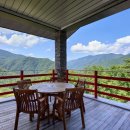 로미하우스 이미지