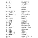 도담민들레치과의원 네이버블로그