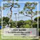 논산솔꽃정원펜션 | 🏡 자연 속 힐링! 논산솔꽃정원펜션, 고즈넉한 휴식의 공간 '논산훈련소수료식펜션'으로 추천!!