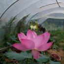 복골농장 이미지