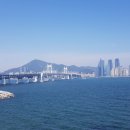 용호동 섶자리 이미지