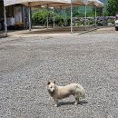 (주)충남지하수 | 논산 가볼만한곳 반야사 동굴법당 바위협곡 이색 사찰 방문 후기