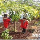 농업기술센터첨단농업관 이미지