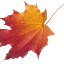 신산경로당 이미지