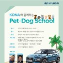 펫도그 애견스쿨 이미지