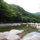 JIRI VALLEY 티스토리