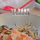 소문난명품족발탕 | 부산 물회 맛집으로 소문난 기장 명품물회 내돈내산 후기