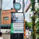 서울 초안산분묘군 | 노원 초안산 수국동산 수국축제 후기