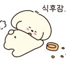 한울태권도 이미지