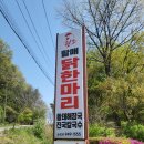 마장닭한마리