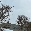 책노리 도서관 | [광교 샌드위치] 노리 샌드위치, 수원 단체 주문 샌드위치