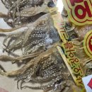 광장건어물 | [속초] 건어물 오징어 / 최저가 직판장 / 속초중앙시장 맛집 / 오징어광장 / 덕장오징어 / 속초 오징어...