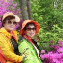 참어울림 이미지