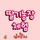 001-월롱-001 티스토리