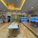 도그마루 강아지 고양이 분양 여주·원주점 이미지