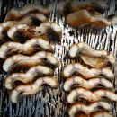 동막골민물장어 | 생생정보 파김치장어전골 부평 유별난 맛집 소금빛풍천장어 위치