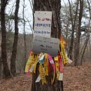 덕동한의원 | 낙동정맥(통점재~배실재)