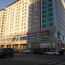 중흥오투스파 이미지