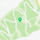 금천리 산수유 네이버블로그