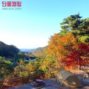 11월 가을 단풍캠핑 강원도 횡성 팜스프링야영장 (F남편 T와이프)